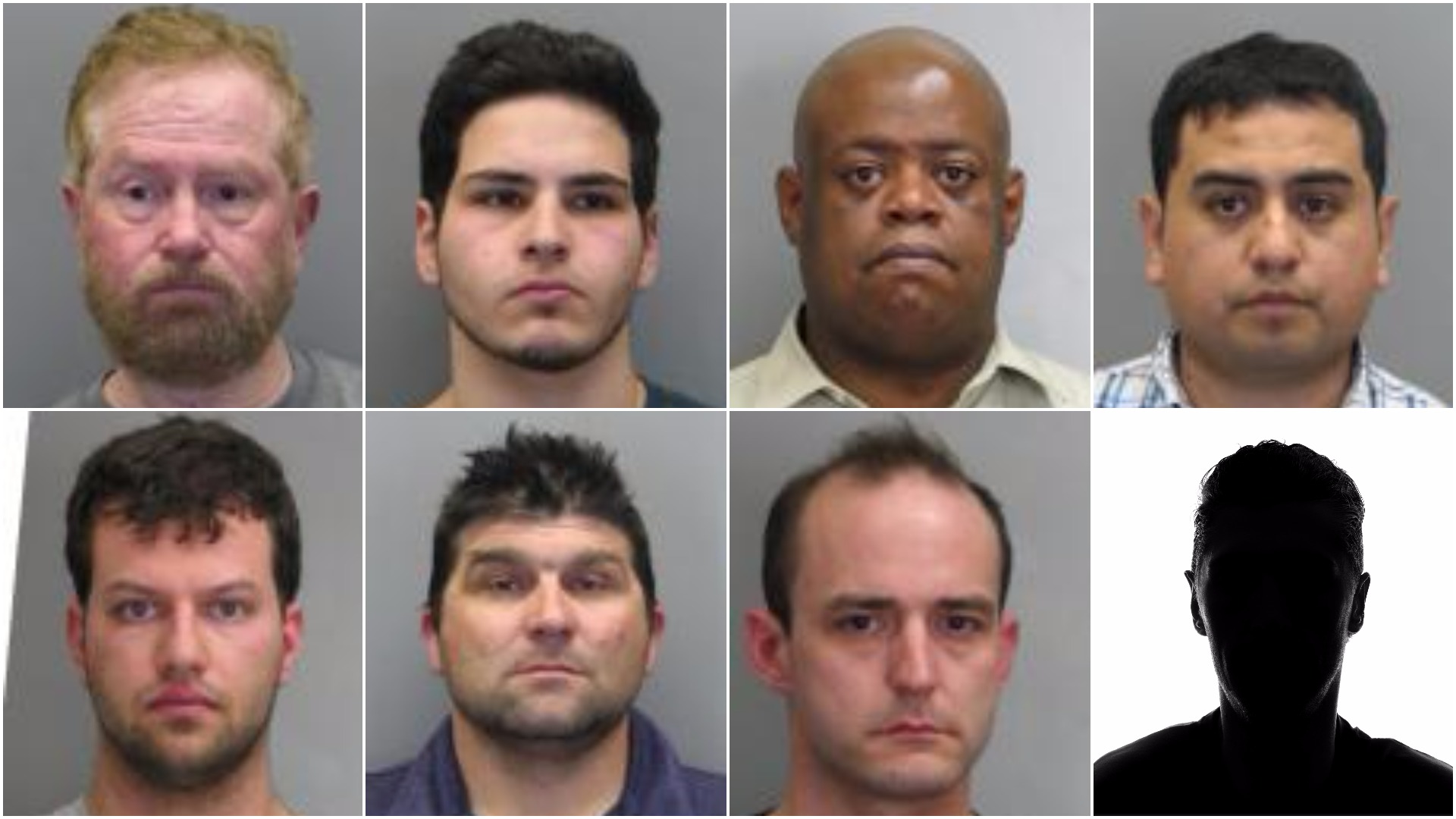 Online Sexual Predator Sting Nets 8 Arrests